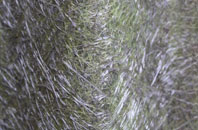 Bretton fibreglass roof work